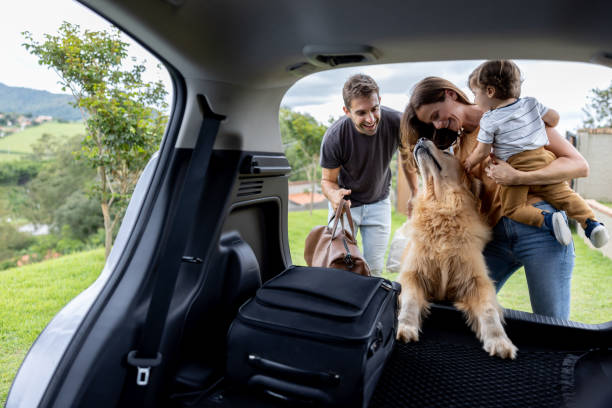 Vai Viajar nas Férias? Confira essas dicas antes de pegar a estrada