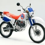 Honda XLR 125: Guia Completo da Lendária Trail 2025