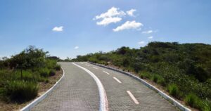 Rodovia cercada por vegetacao tropical no Amapa - consultar placa Detran AP