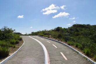 Rodovia cercada por vegetacao tropical no Amapa - consultar placa Detran AP