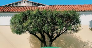 Veiculo em rua de Teresina Piaui - consultar placa Detran PI