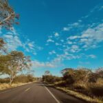 Veiculo em rodovia cercada por floresta em Rondonia - consultar placa Detran RO