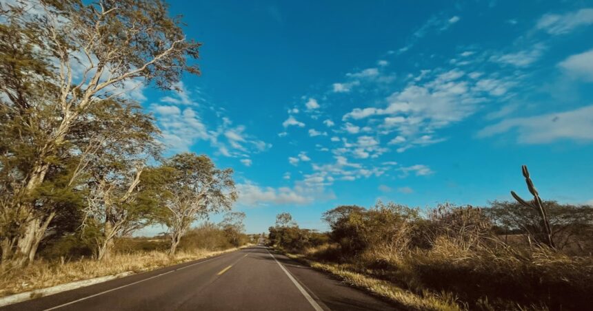 Veiculo em rodovia cercada por floresta em Rondonia - consultar placa Detran RO