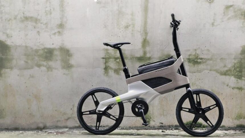 Bike elétrica, autopropelido e ciclomotor — foto de divulgação