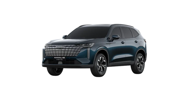 GWM Haval H6 PHEV19